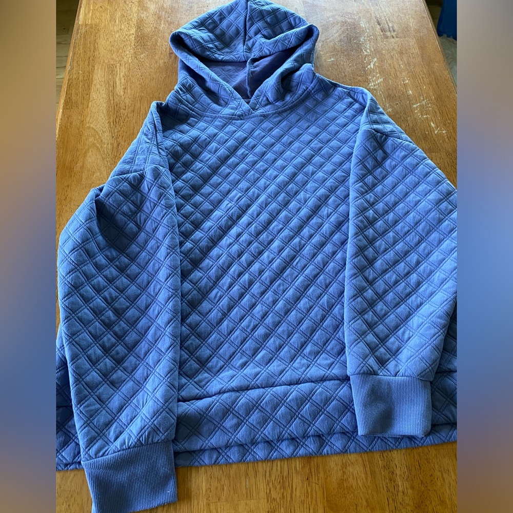 Hoodie, purple, never worn, no stains, no rips.